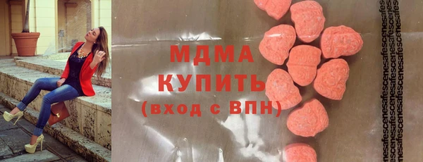 мдпв Ельня