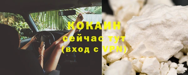 мдпв Осинники