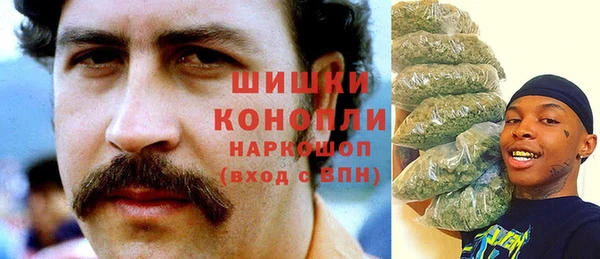 мдпв Осинники