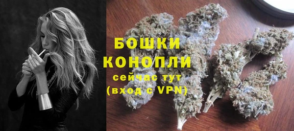 мдпв Осинники