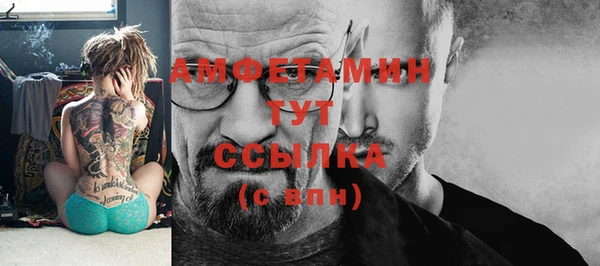 мдпв Ельня