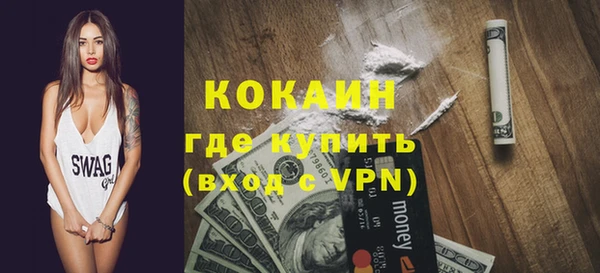 мдпв Ельня