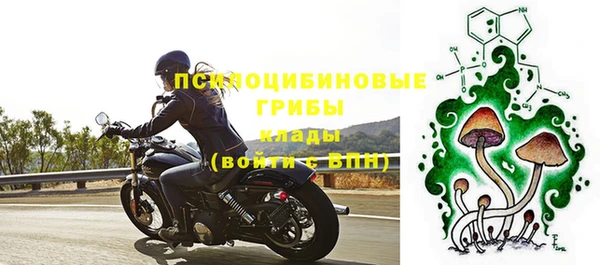 винт Осташков