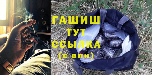 мдпв Ельня