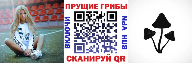 Галлюциногенные грибы Magic Shrooms  darknet официальный сайт  Себеж 